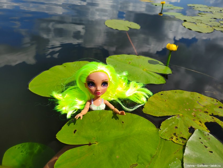 Карма Rainbow hai на природе