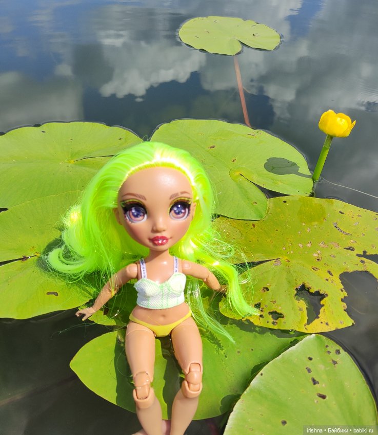 Карма Rainbow hai на природе