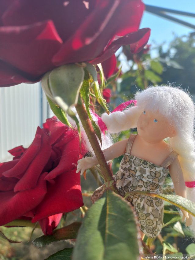 Авелия и Лилечка на прогулке (фото 7)