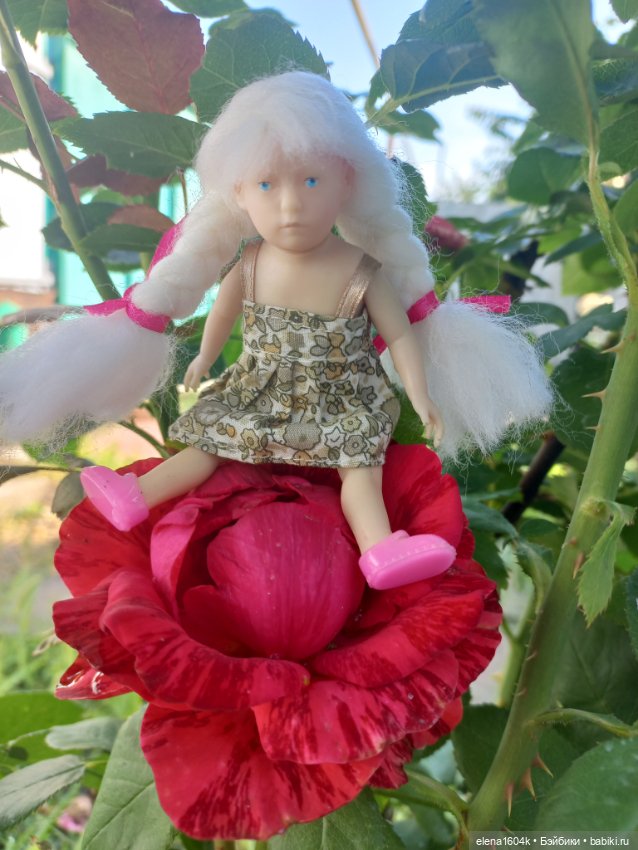 Авелия и Лилечка на прогулке (фото 10)