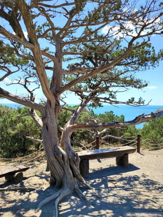 Катерина в Новом Свете — Куклы Yuki Doll (Юки Долл): авторские BJD (БЖД)