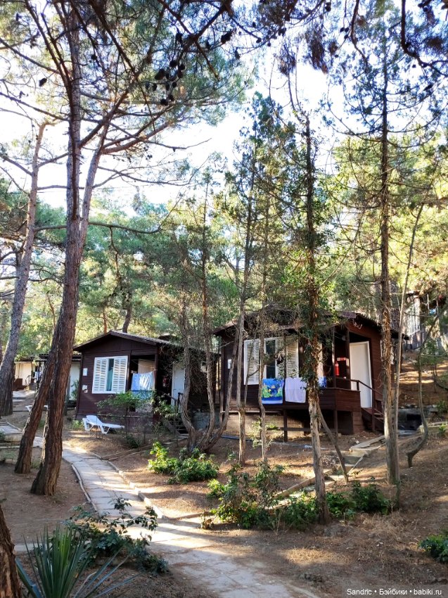 Катерина в Новом Свете — Куклы Yuki Doll (Юки Долл): авторские BJD (БЖД)