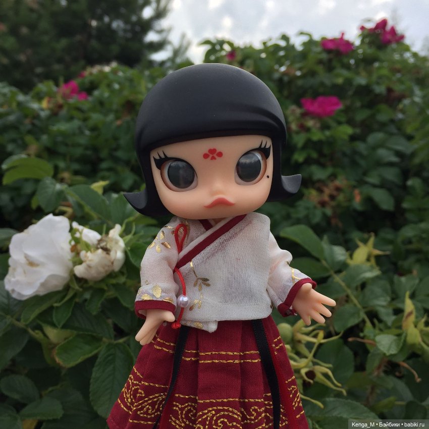 Когда сакура не цветет — Азиатские виниловые куклы (разное): Китай