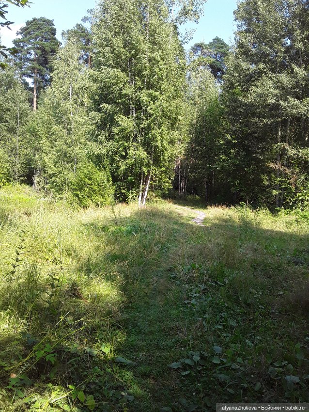 Как мне зимой хотелось лета (фото 7)