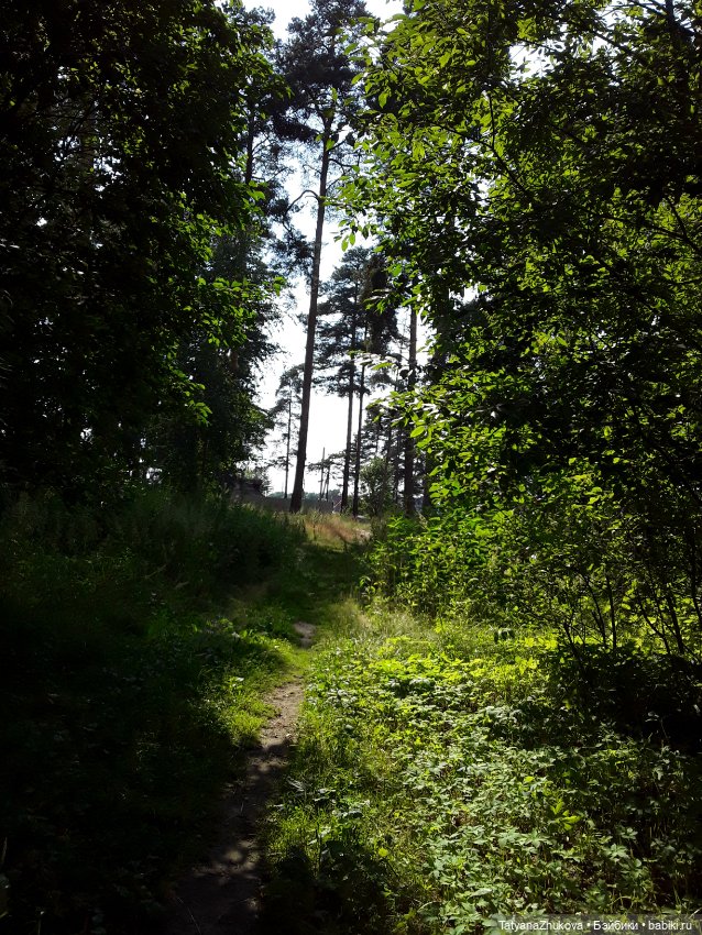 Как мне зимой хотелось лета (фото 8)