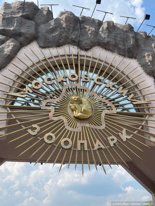 Летний зоопарк или случайный билет в детство на один день (фото 3)