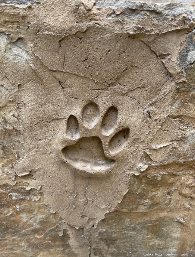 Летний зоопарк или случайный билет в детство на один день