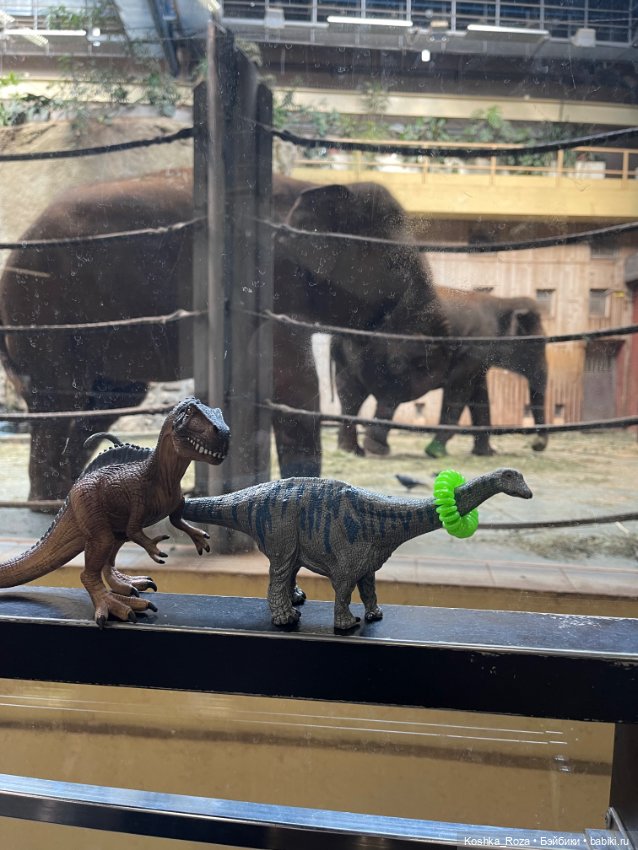 Летний зоопарк или случайный билет в детство на один день (фото 7)