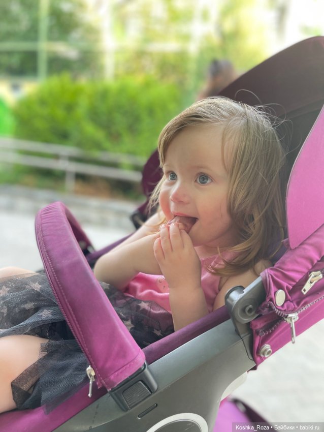 Летний зоопарк или случайный билет в детство на один день (фото 5)