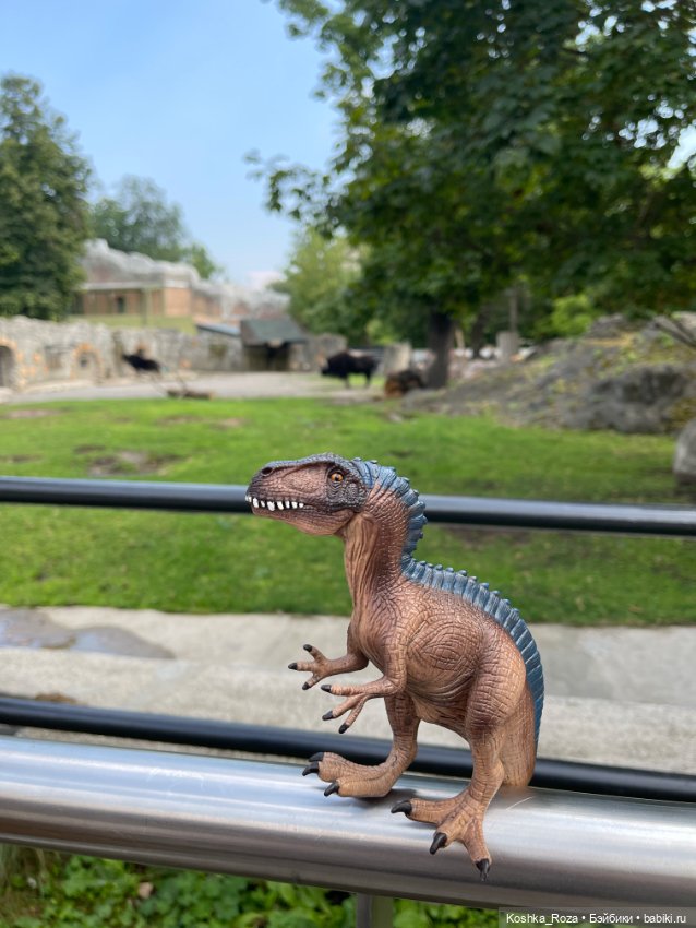 Летний зоопарк или случайный билет в детство на один день (фото 6)