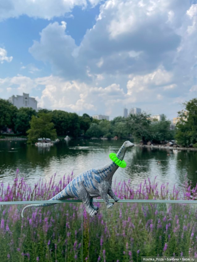 Летний зоопарк или случайный билет в детство на один день (фото 4)