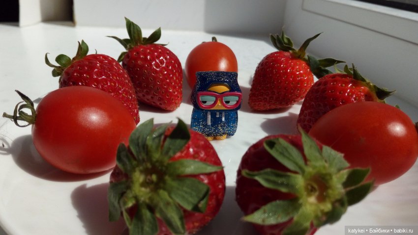 ФотоЧетверг. Гнев — Домашние коллекции кукол: фото собраний