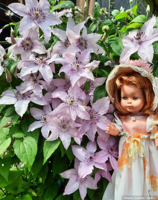 Прекрасная брошенка💖🌹 — Винтажные куклы ГДР (Немки): Бигги