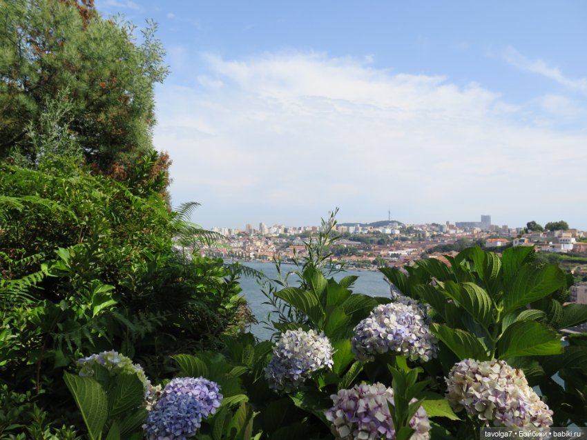 Кэптан в Порто — Куклы Barbie (Барби): Looks