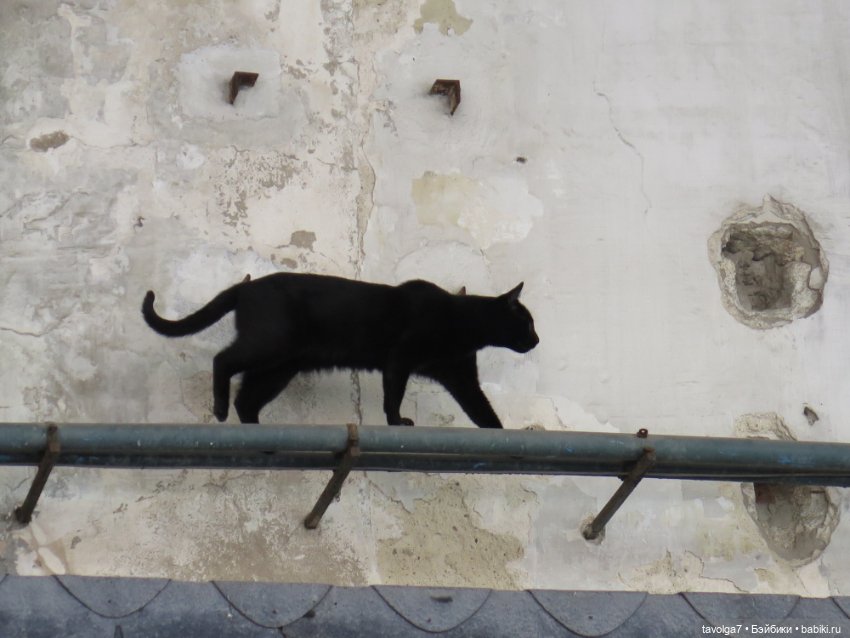 Кэптан в Порто — Куклы Barbie (Барби): Looks