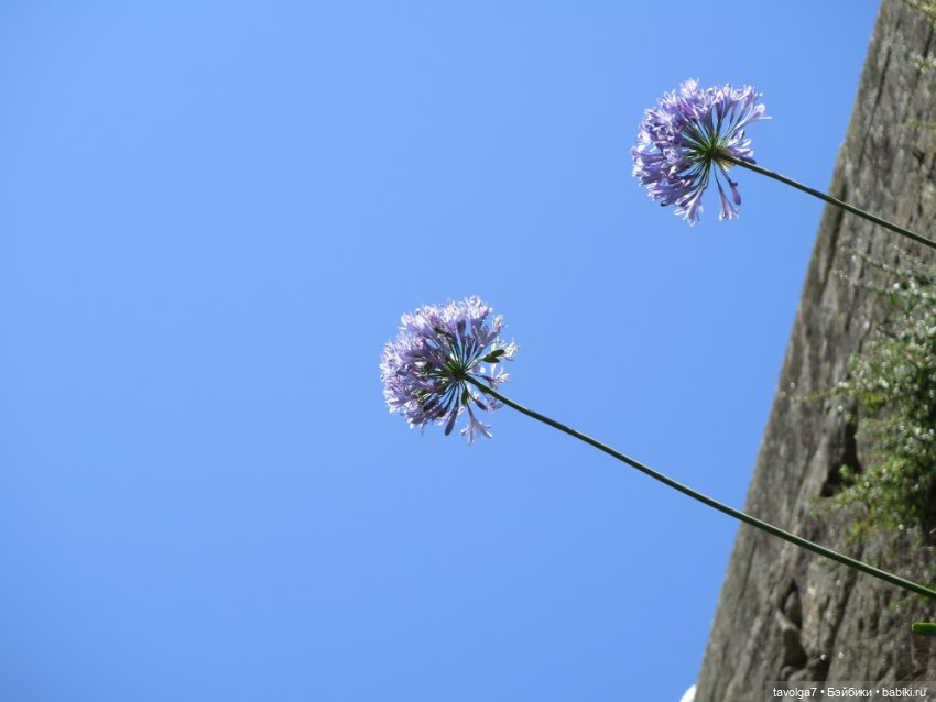 Кэптан в Порто — Куклы Barbie (Барби): Looks