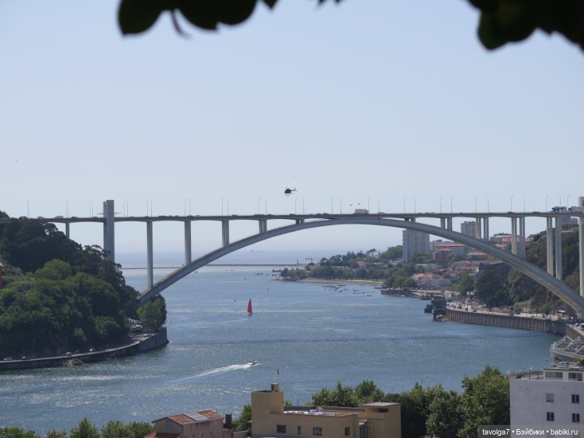 Кэптан в Порто — Куклы Barbie (Барби): Looks