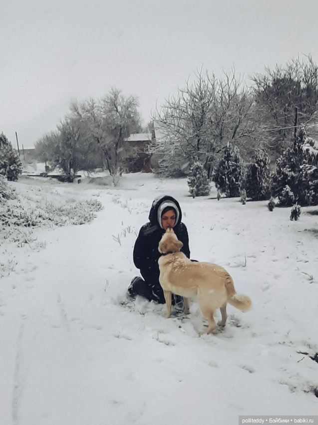 Обо мне — Авторские мишки Тедди и друзья: фото (фото 2)