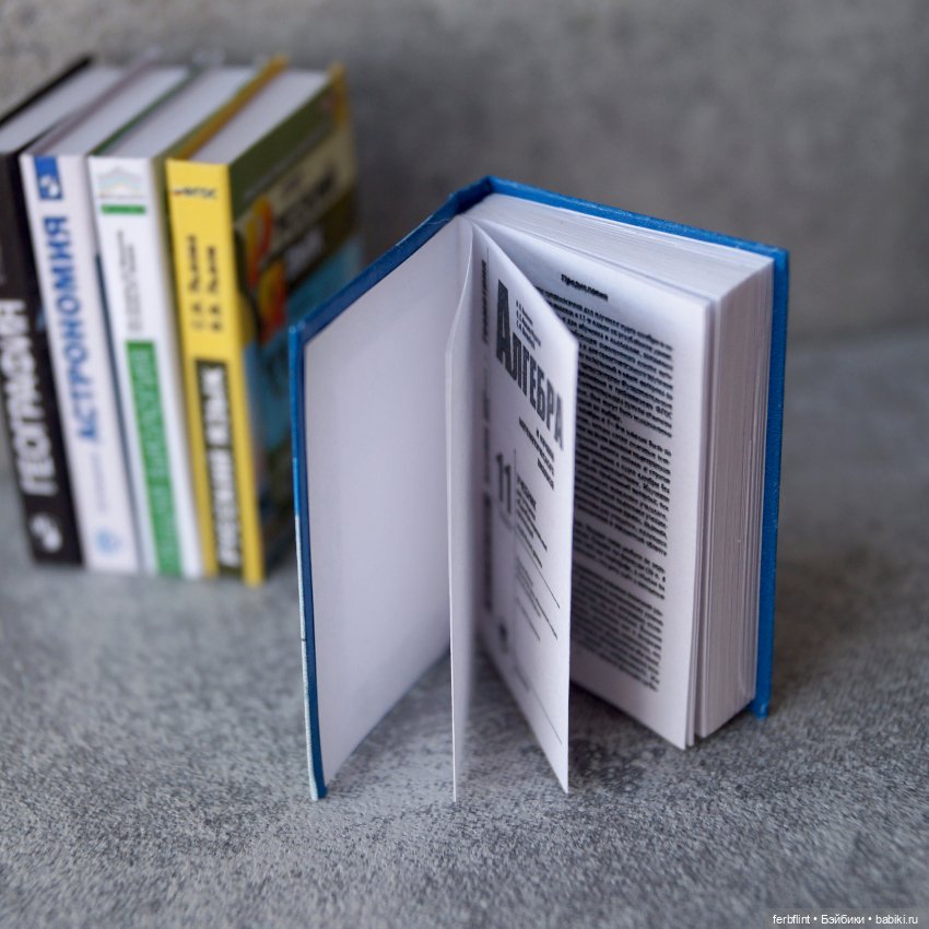 Первый раз в 11 класс — Кукольная миниатюра своими руками: еда (фото 6)