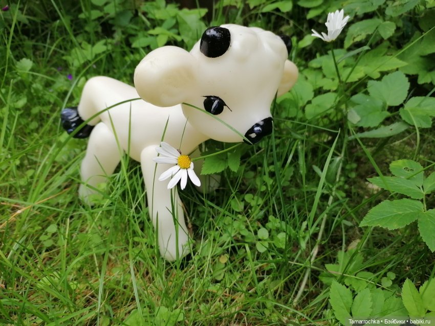 Далеко, далеко на лугу пасутся ко (фото 4)