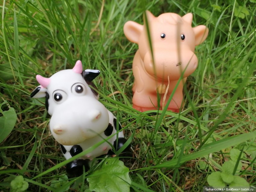 Далеко, далеко на лугу пасутся ко (фото 7)