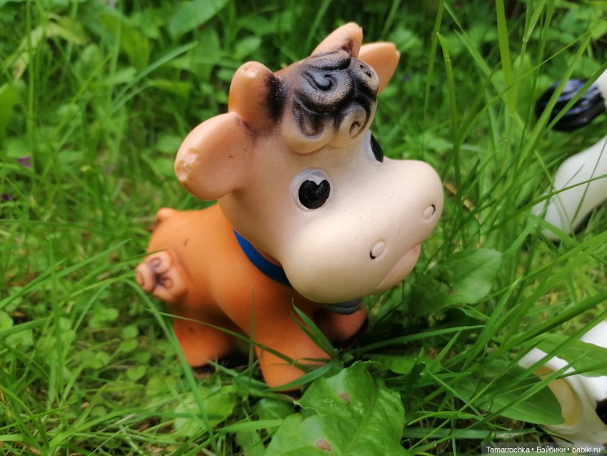 Далеко, далеко на лугу пасутся ко (фото 5)