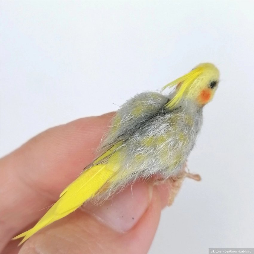 Весёлая парочка — Кукольная миниатюра своими руками: еда (фото 9)