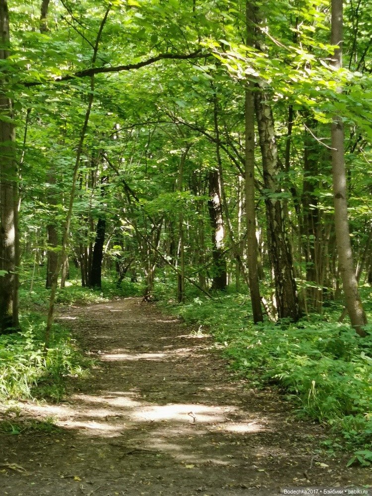 Лес скучал без меня — Винтажные куклы ГДР (Немки): Бигги