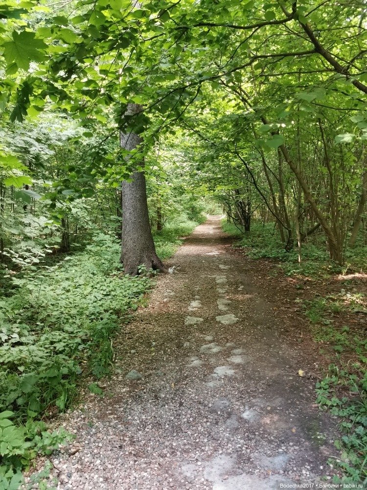 Лес скучал без меня — Винтажные куклы ГДР (Немки): Бигги