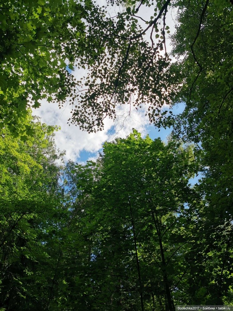 Лес скучал без меня — Винтажные куклы ГДР (Немки): Бигги