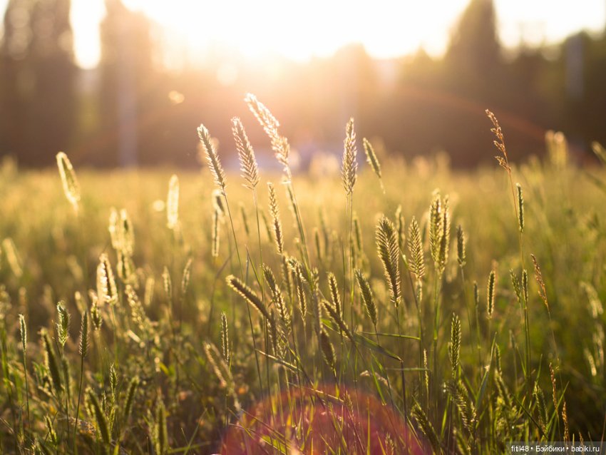 В путешествие на часок — Куклы Paola Reina (Паола Рейна): новинки