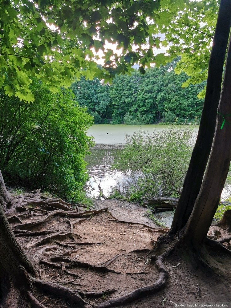 Лес скучал без меня — Винтажные куклы ГДР (Немки): Бигги