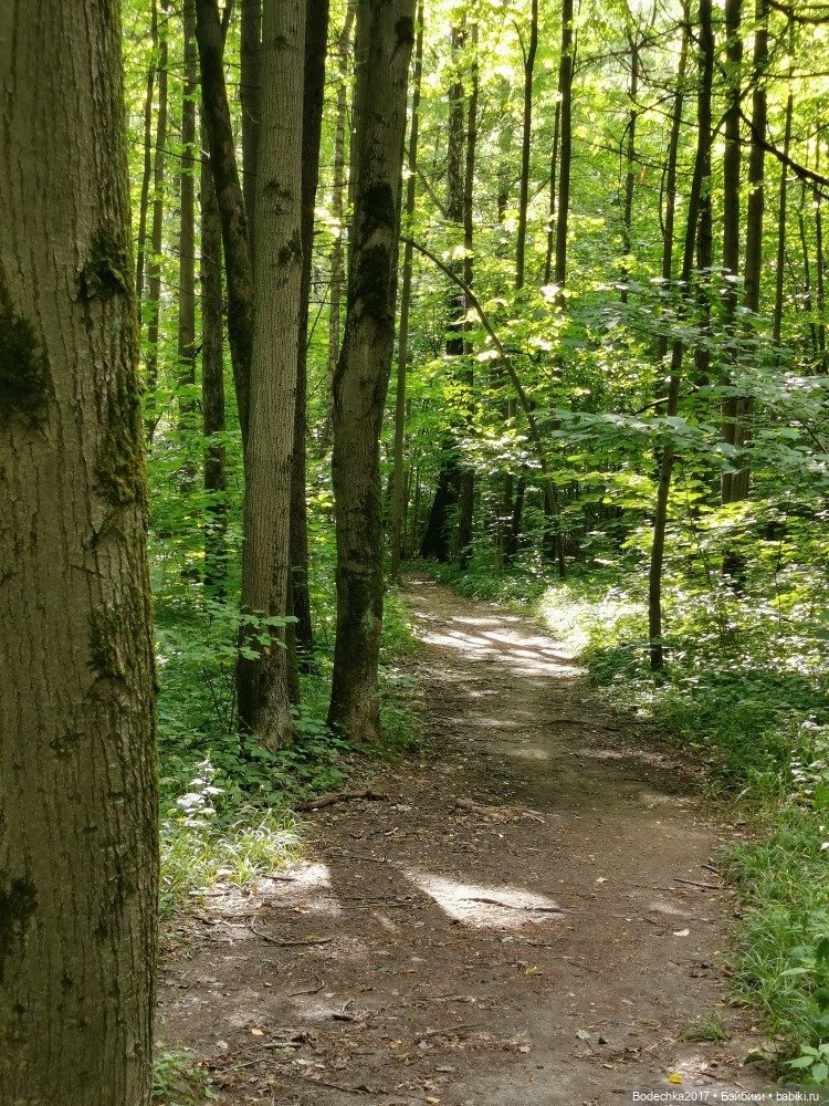 Лес скучал без меня — Винтажные куклы ГДР (Немки): Бигги