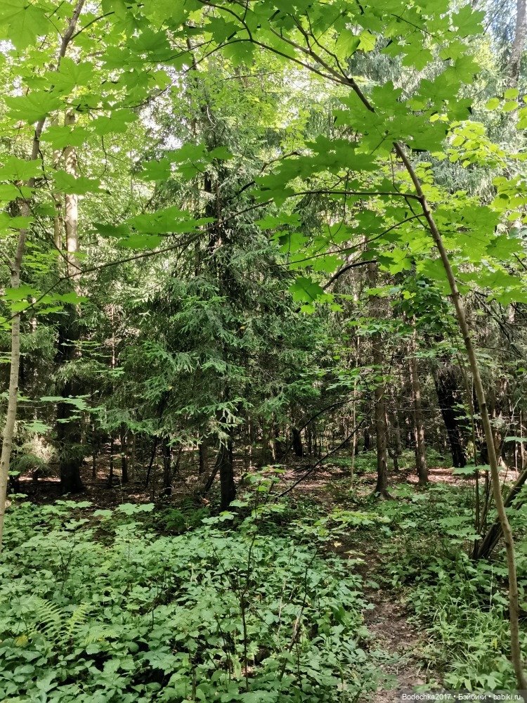 Лес скучал без меня — Винтажные куклы ГДР (Немки): Бигги