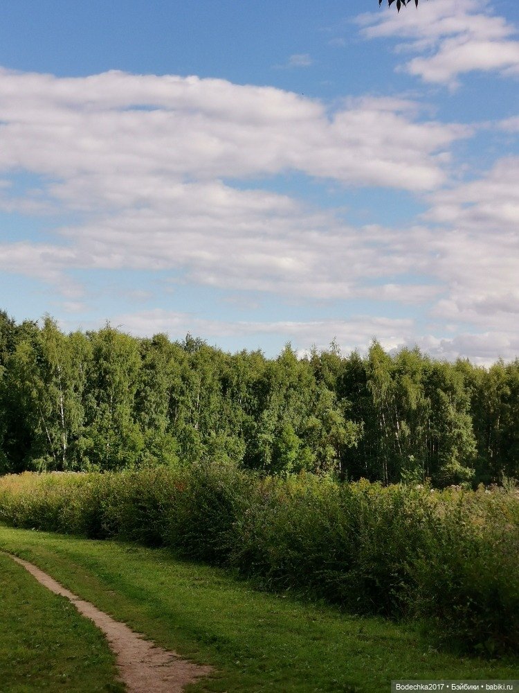 Лес скучал без меня — Винтажные куклы ГДР (Немки): Бигги