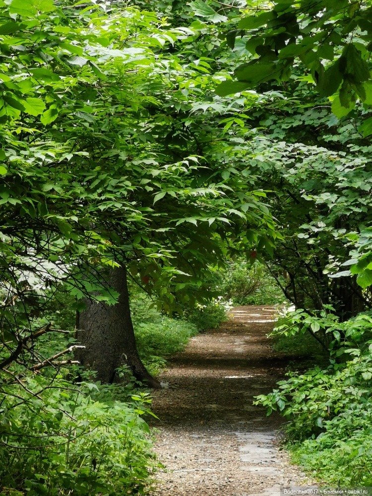 Лес скучал без меня — Винтажные куклы ГДР (Немки): Бигги