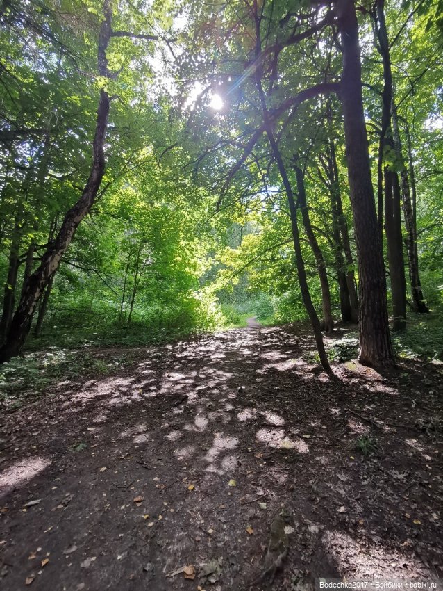 Лес скучал без меня — Винтажные куклы ГДР (Немки): Бигги