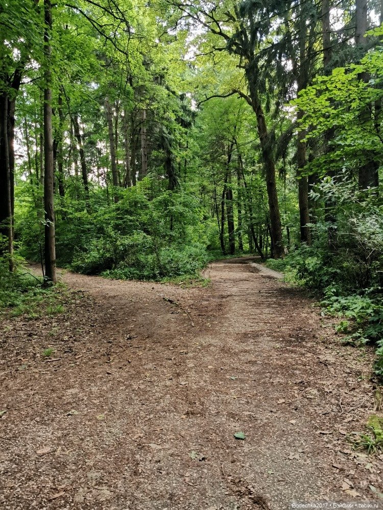Лес скучал без меня — Винтажные куклы ГДР (Немки): Бигги