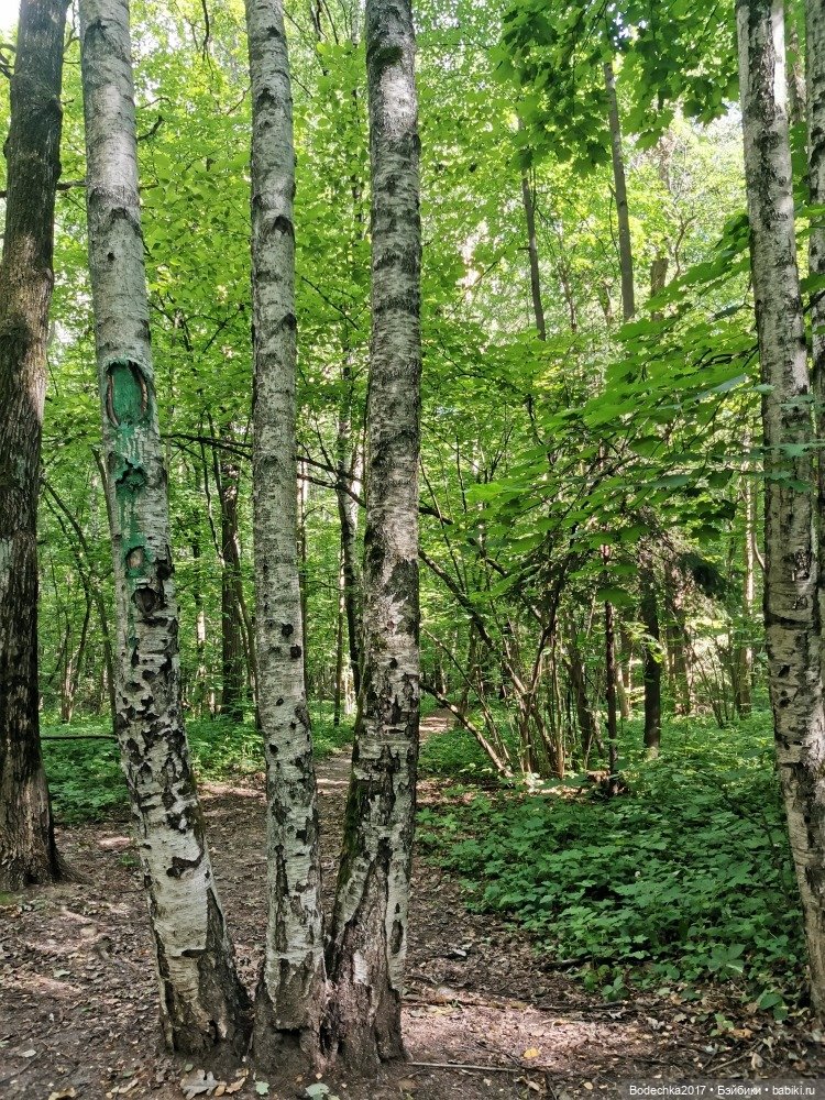 Лес скучал без меня — Винтажные куклы ГДР (Немки): Бигги