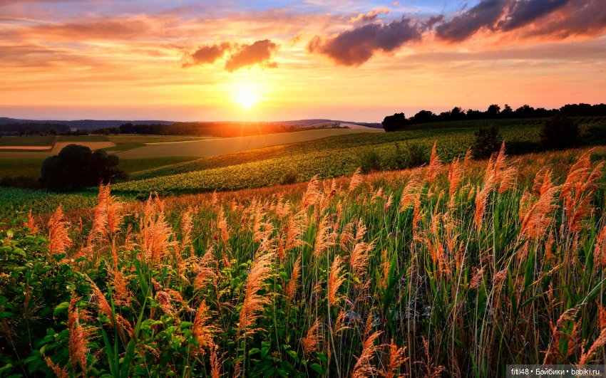 В путешествие на часок — Куклы Paola Reina (Паола Рейна): новинки