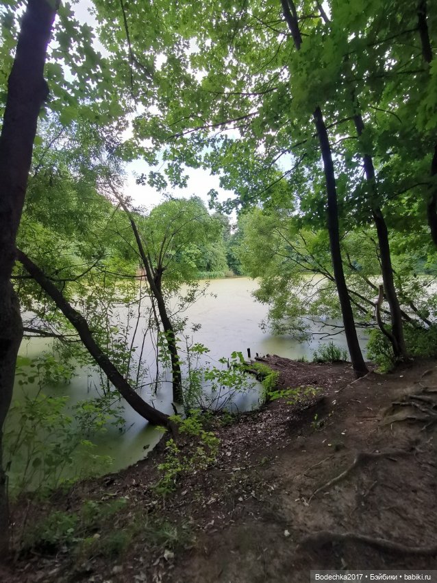 Лес скучал без меня — Винтажные куклы ГДР (Немки): Бигги