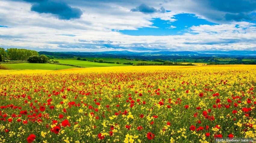 В путешествие на часок — Куклы Paola Reina (Паола Рейна): новинки