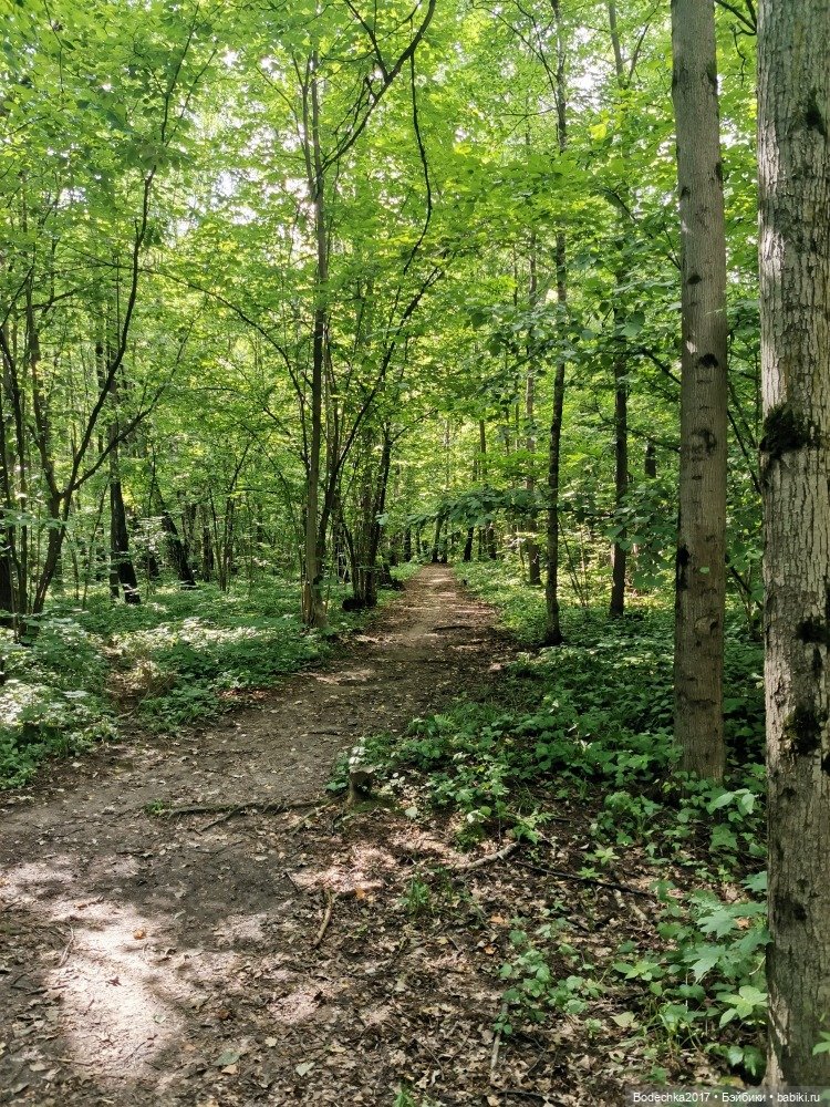 Лес скучал без меня — Винтажные куклы ГДР (Немки): Бигги