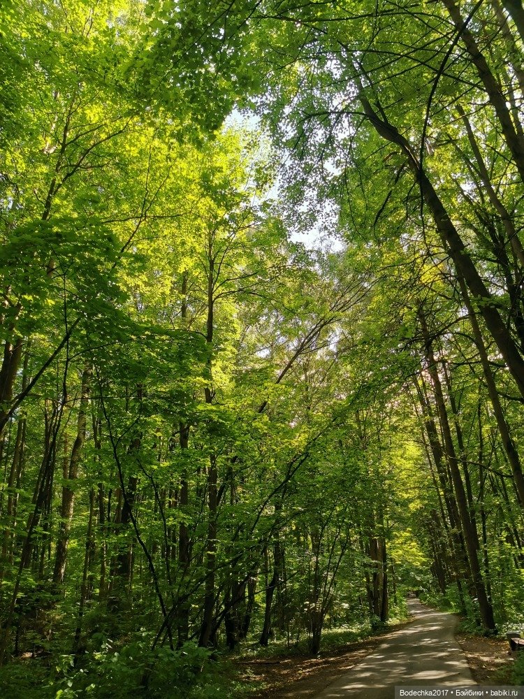 Лес скучал без меня — Винтажные куклы ГДР (Немки): Бигги