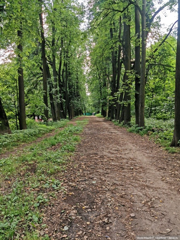 Лес скучал без меня — Винтажные куклы ГДР (Немки): Бигги