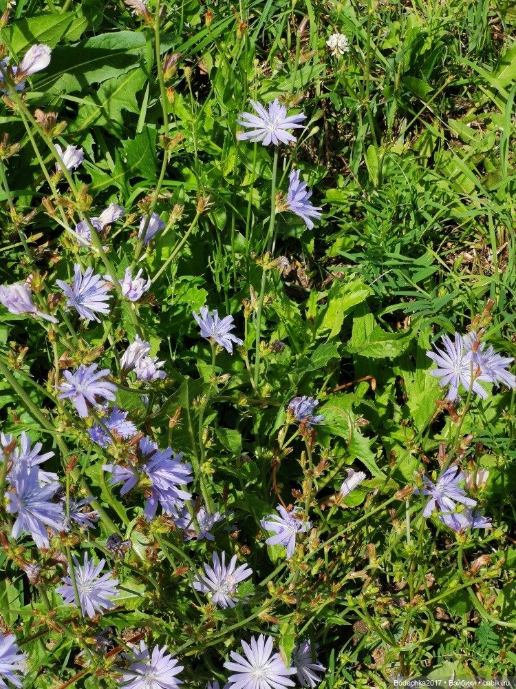 Лес скучал без меня — Винтажные куклы ГДР (Немки): Бигги (фото 10)