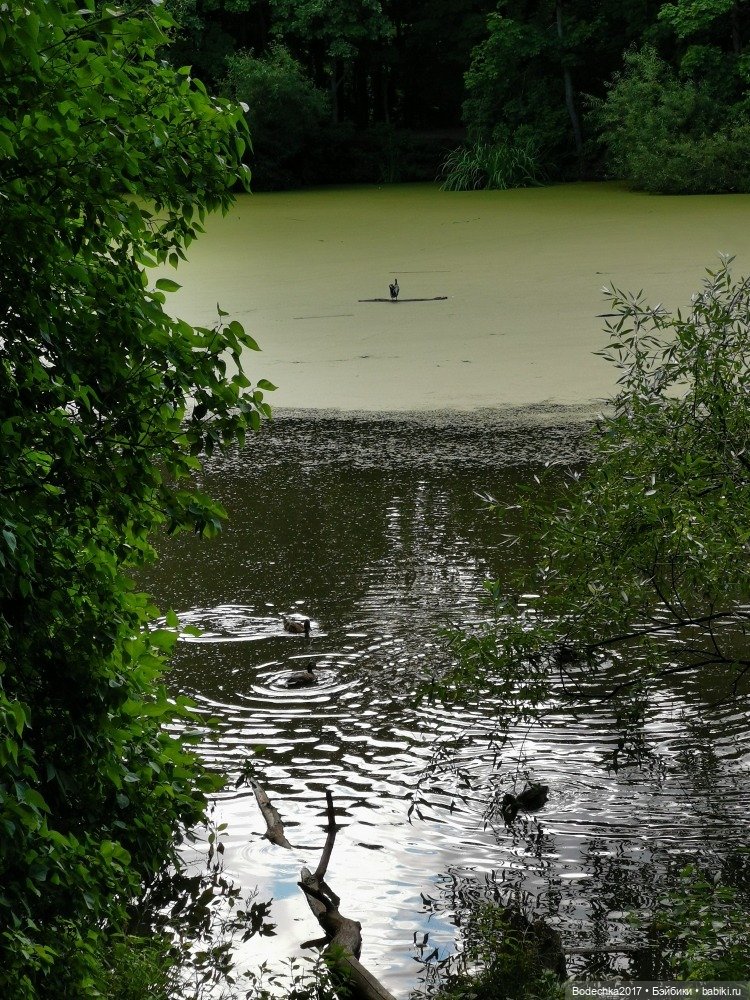 Лес скучал без меня — Винтажные куклы ГДР (Немки): Бигги
