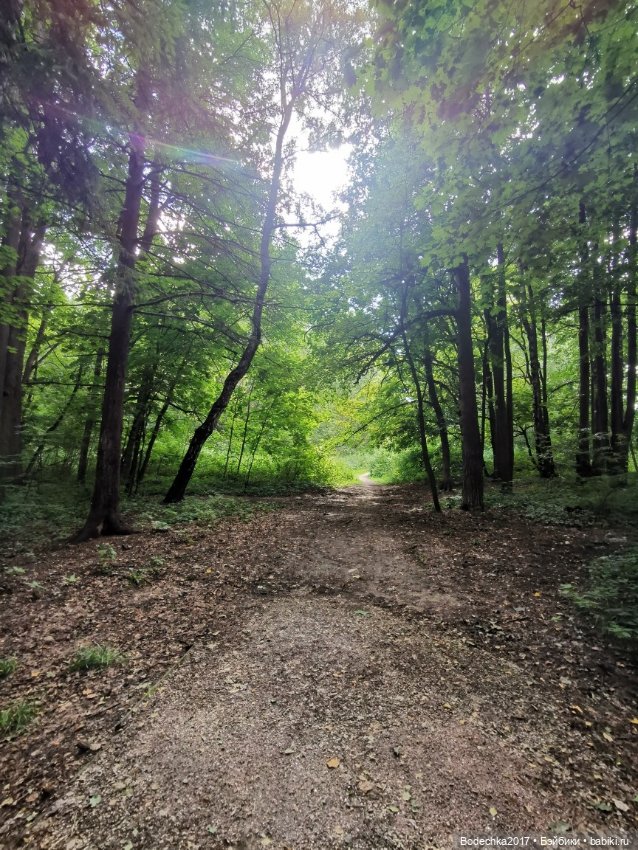 Лес скучал без меня — Винтажные куклы ГДР (Немки): Бигги