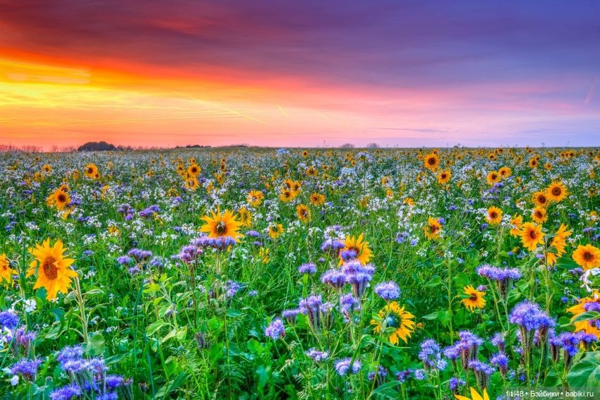 В путешествие на часок — Куклы Paola Reina (Паола Рейна): новинки