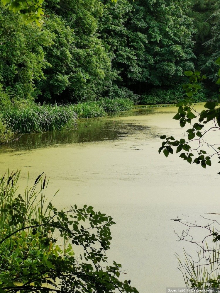Лес скучал без меня — Винтажные куклы ГДР (Немки): Бигги